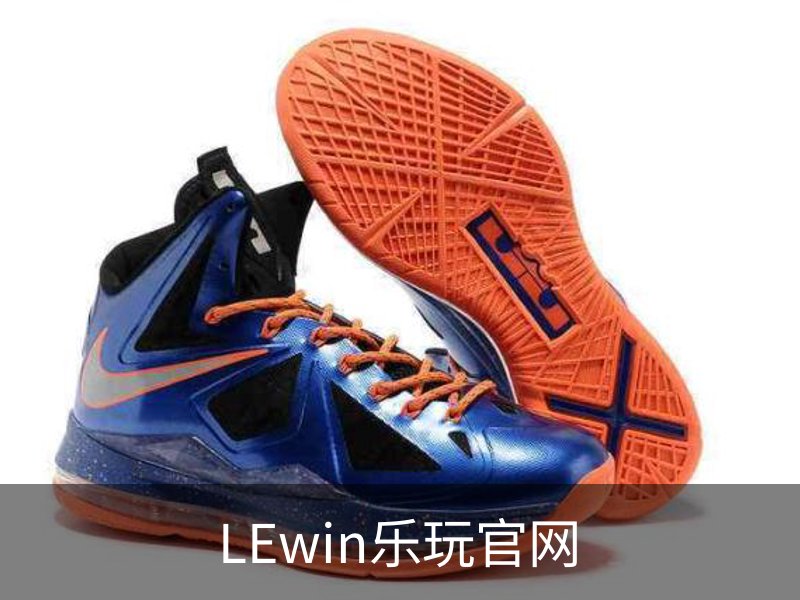 LEwin乐玩官网概况